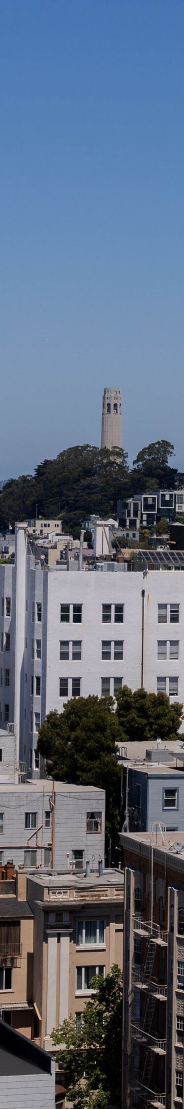 City View toward the Bay