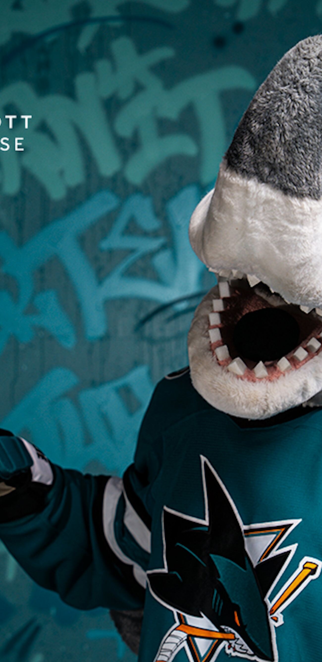 San Jose Sharks Partnership