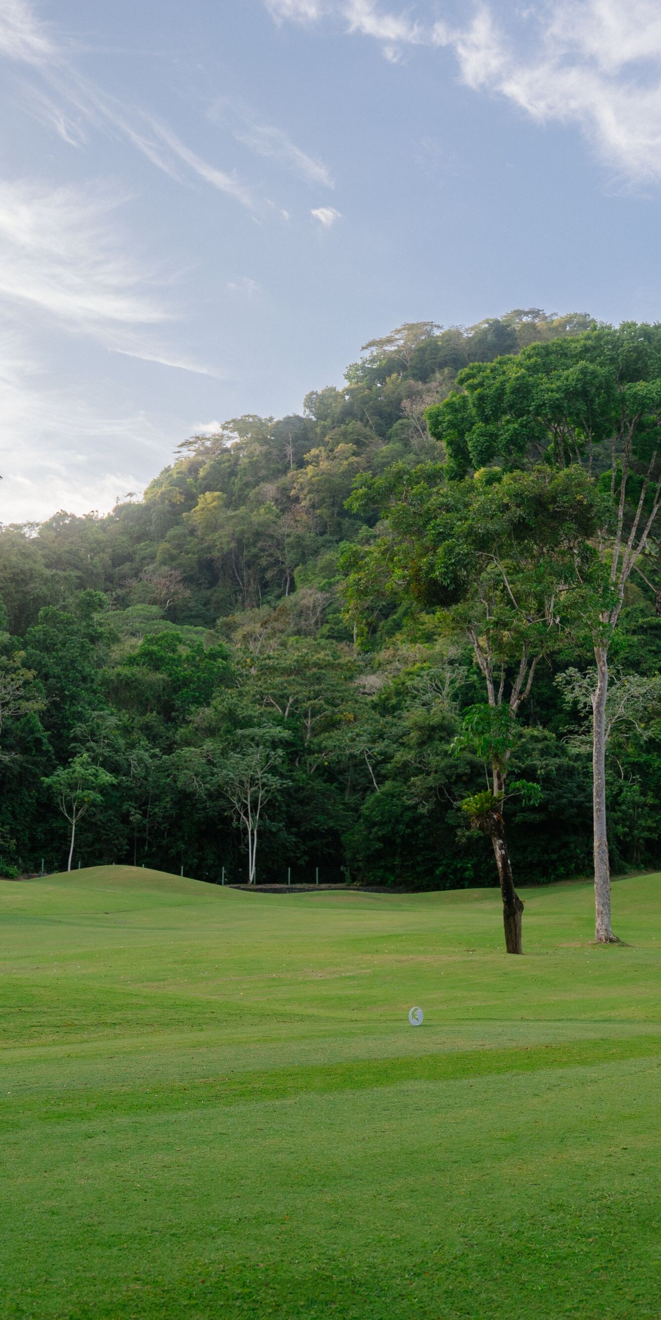 Campamento de golf, hombre jugando al golf