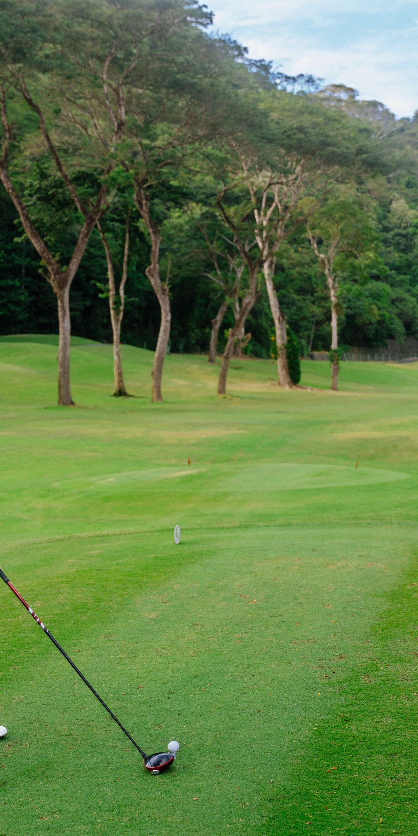 Vista del campamento de golf, un hombre jugando al golf