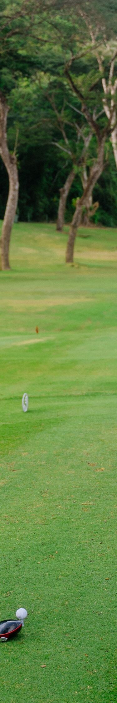 Vista del campamento de golf, un hombre jugando al golf