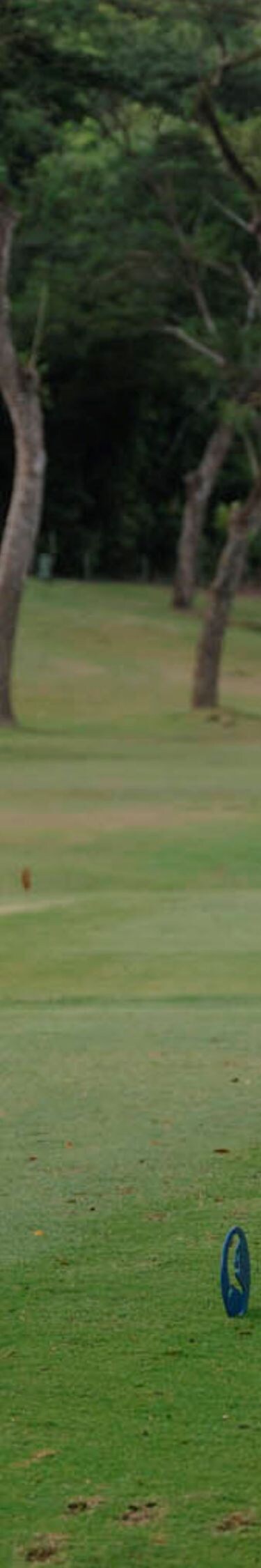 Campamento de golf, dos personas jugando al golf