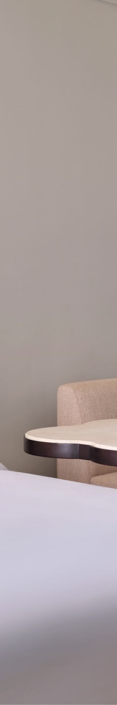 sofa, tempat tidur, bantal, meja kopi
