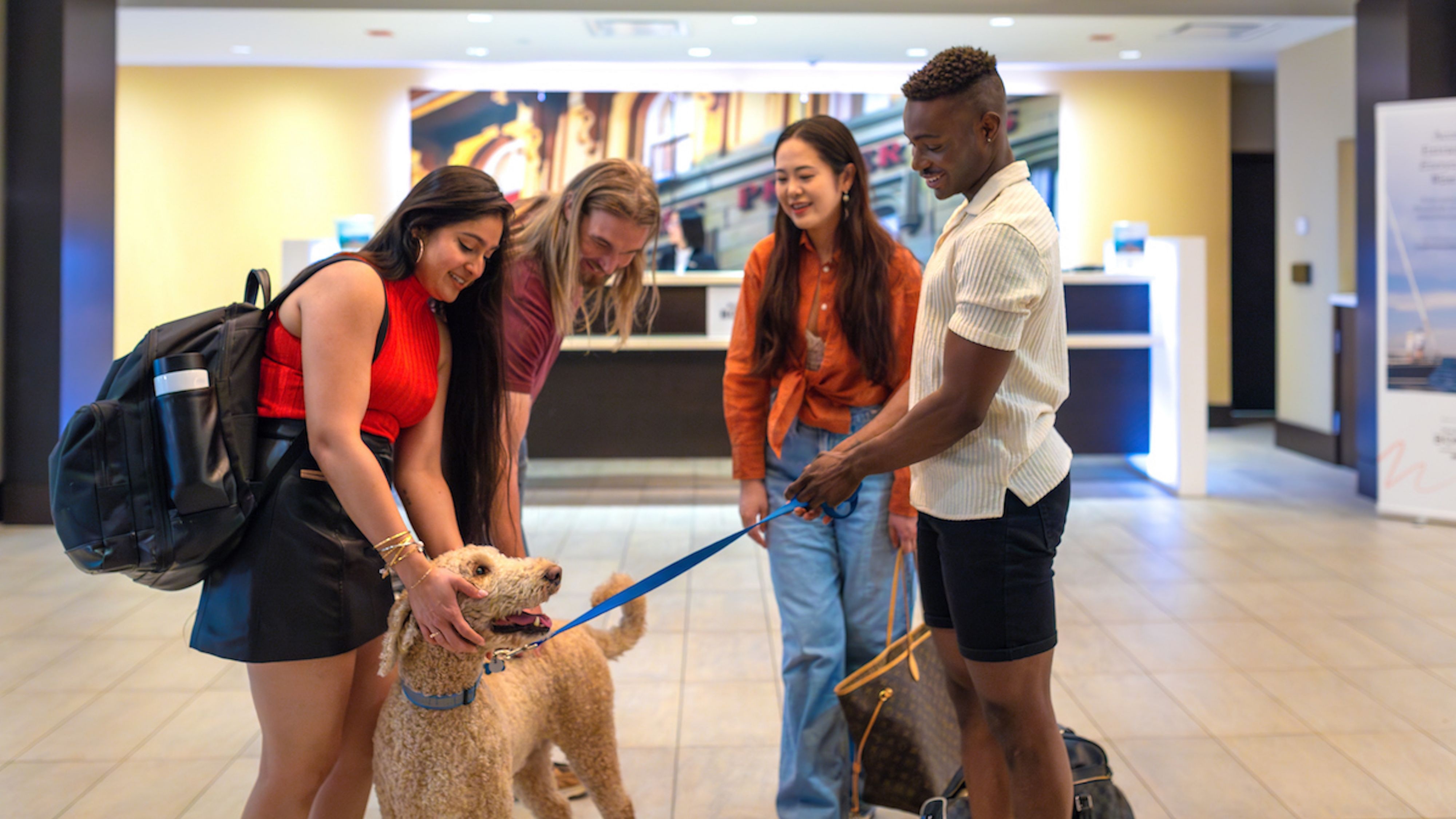 Pampered Paws Getaway