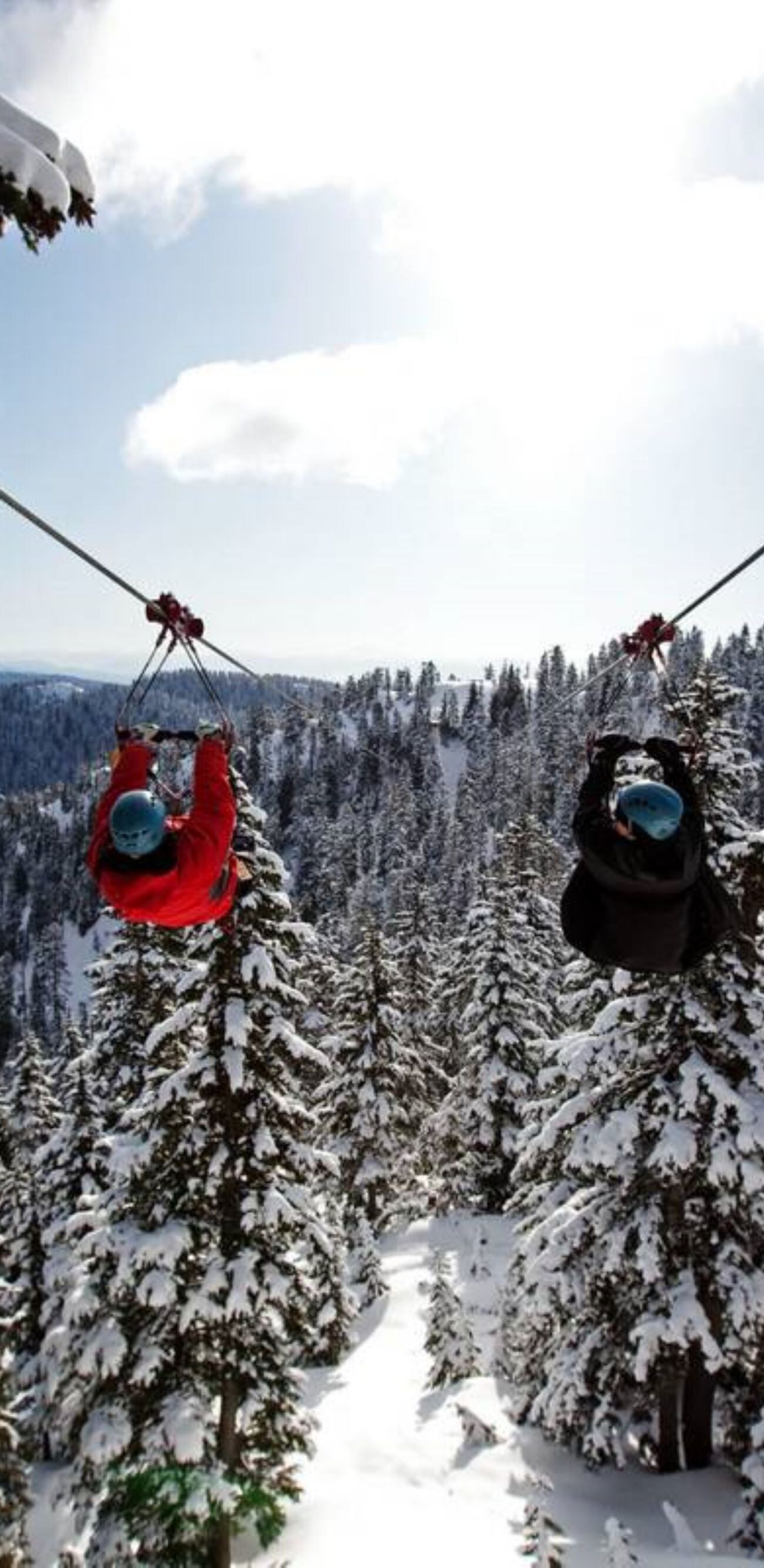 Couple hang gliding