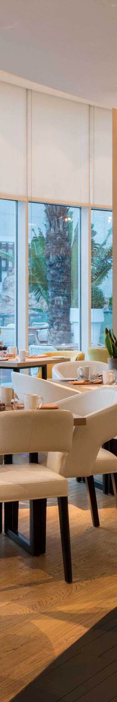 Breakfast bistro indoor seating light airy