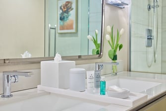 Guest Bathroom - Spa-Quality Skincare