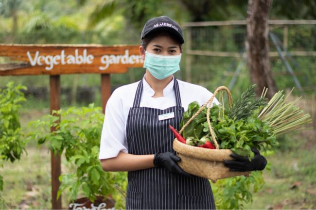 hotel associates harvesting in the herb garden