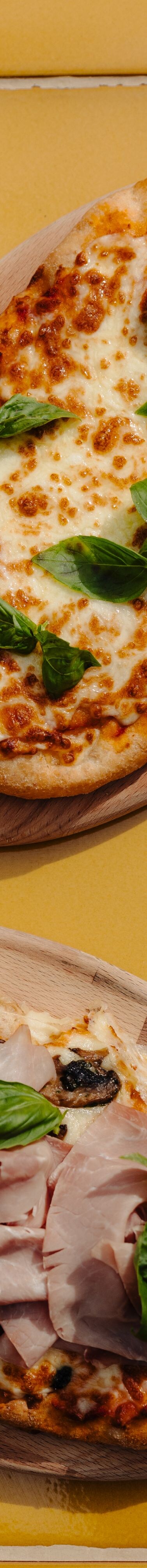 Two Italian pizzas with basil