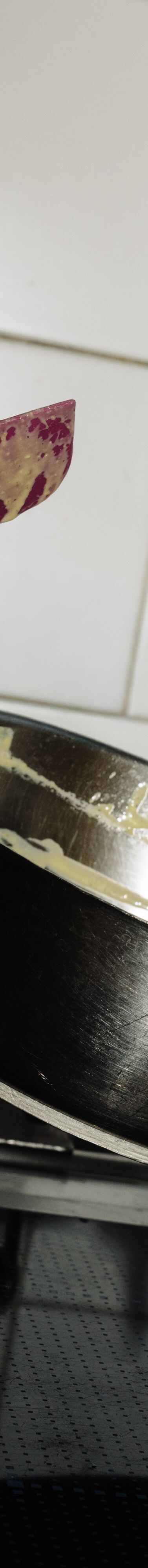 Pasta tossed in creamy sauce