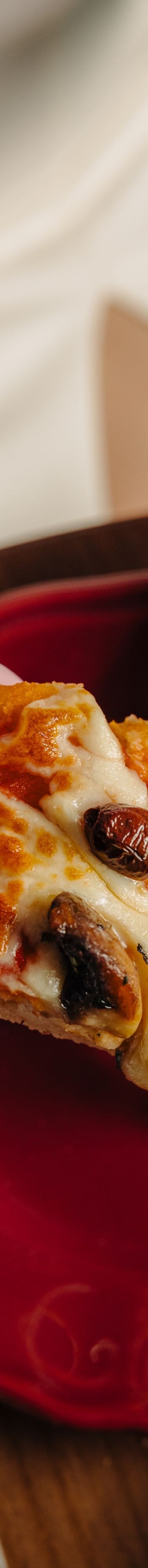 Pizza slice with melted cheese