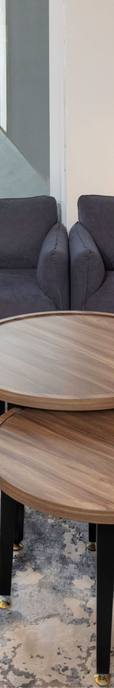 Sofa bed, tables. chairs, dresser, bench, TV
