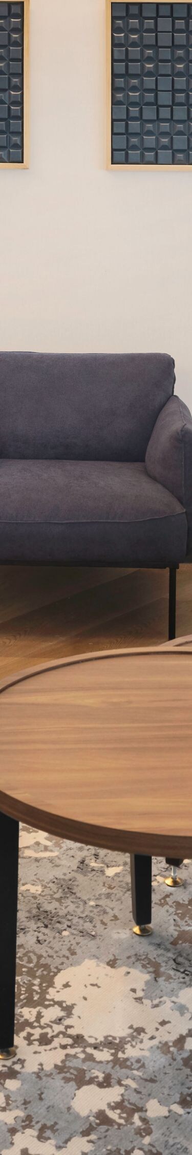 Modern living area with seating and coffee table