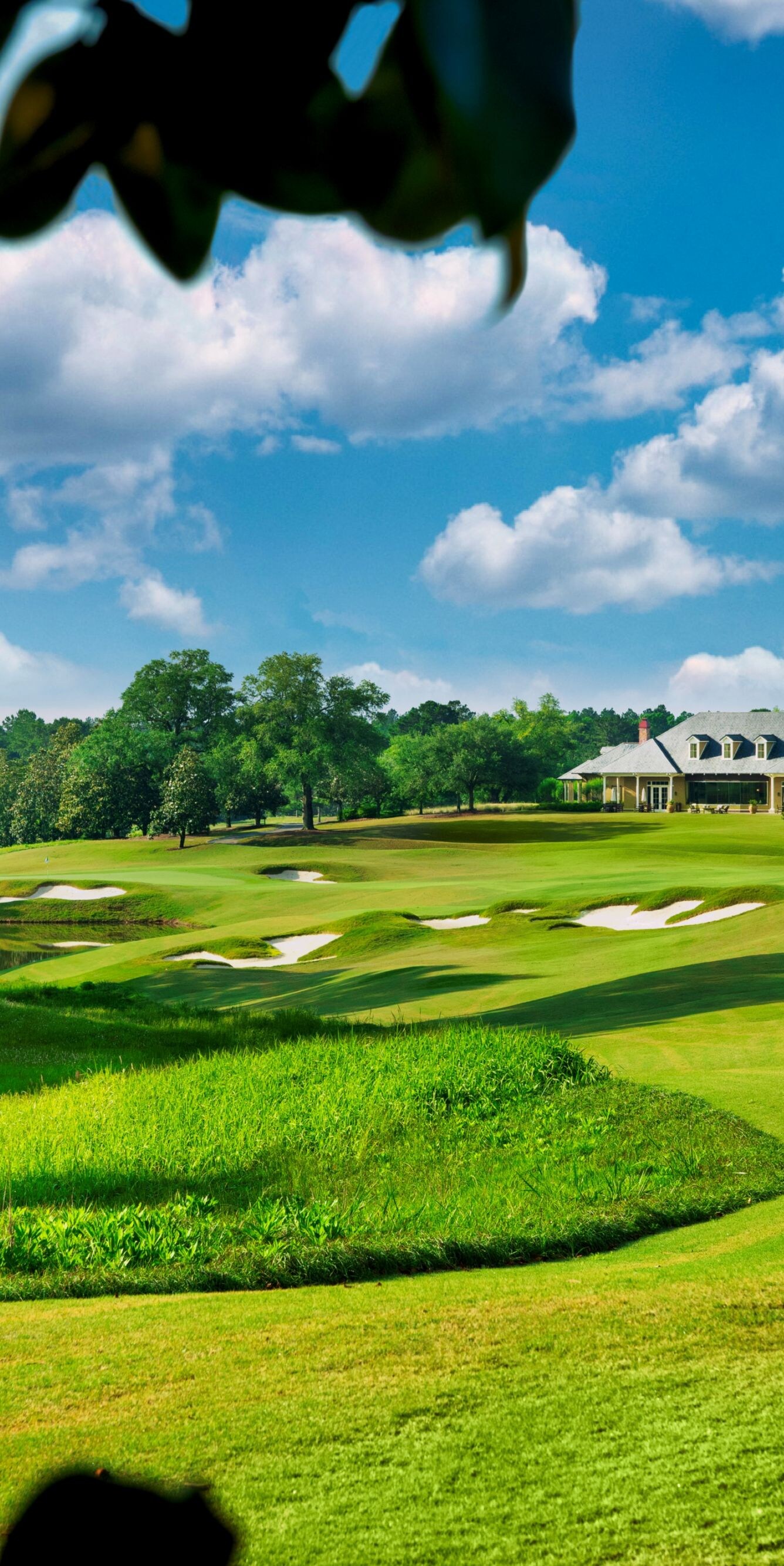 Golf greens, trees, clubhouse in distance.