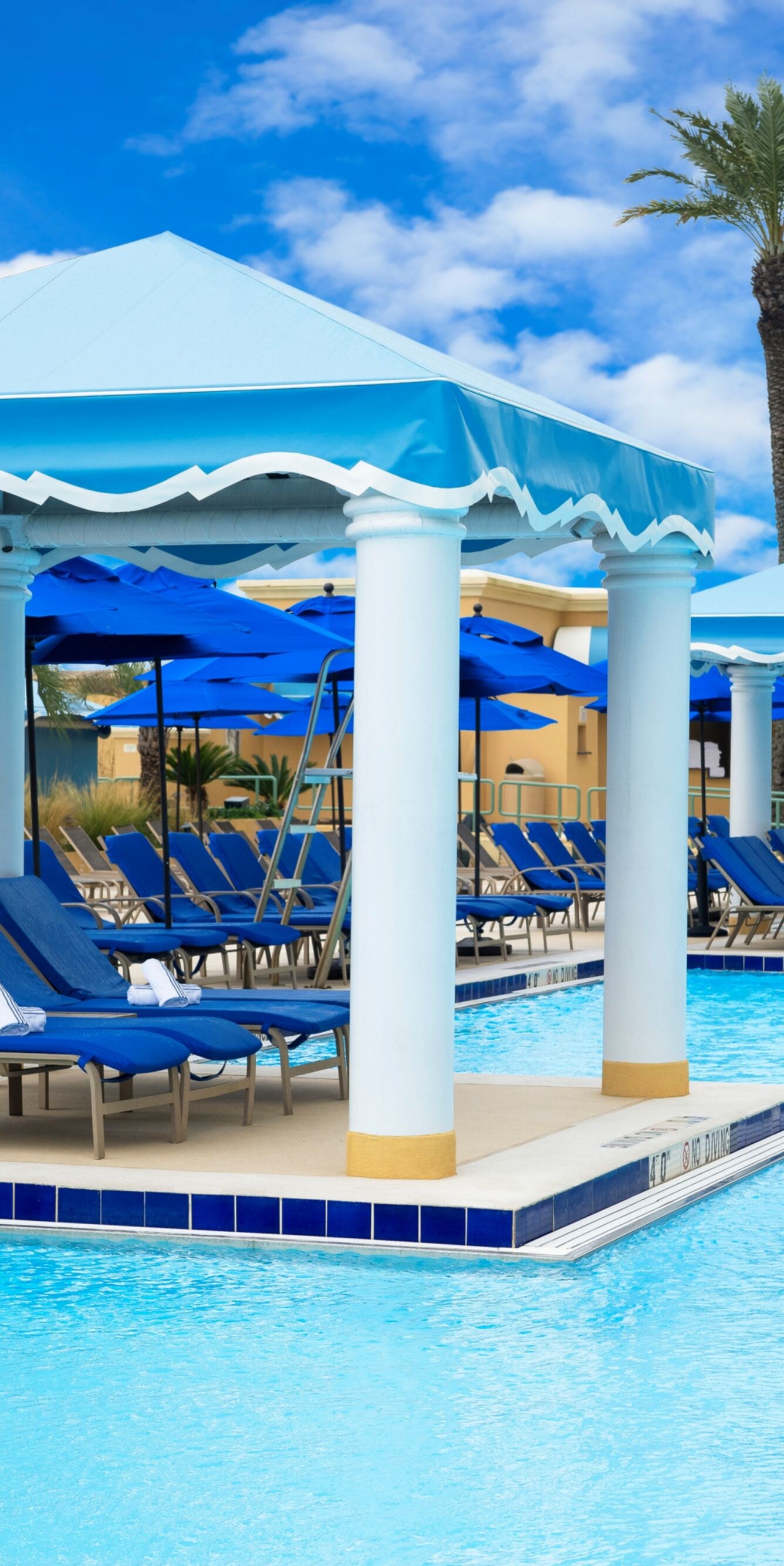Pool loungers under canopy next to pool.