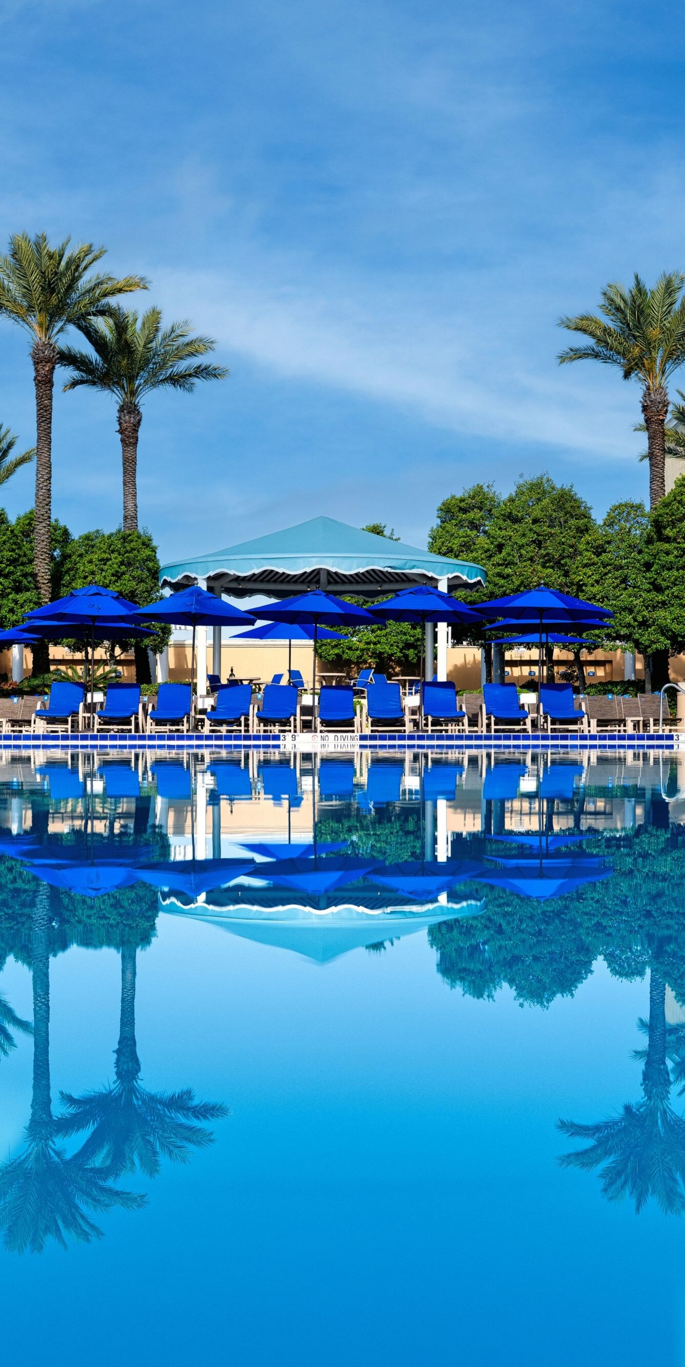 Pool, lounge chairs under covered areas.