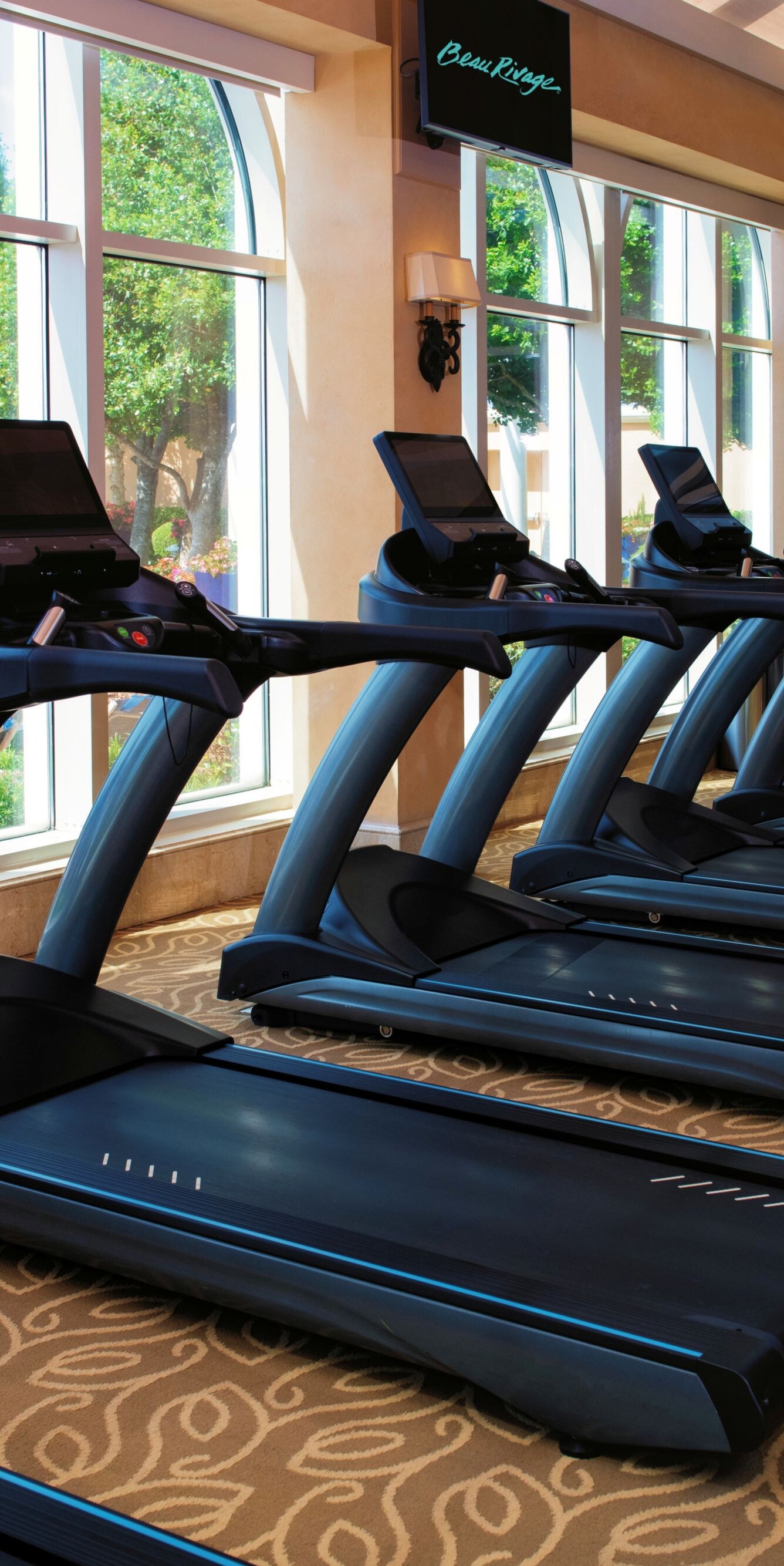 6 treadmills in front of windows.