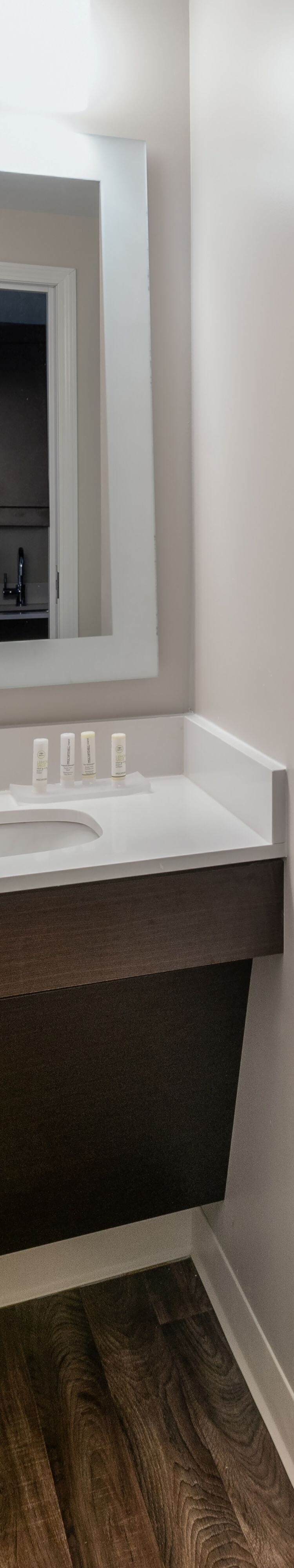 Accessible Suite Bathroom - Roll-in Shower
