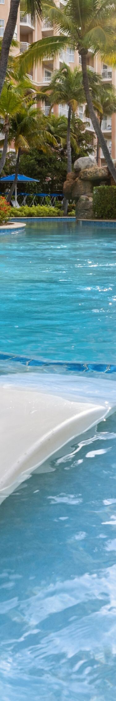 Piscina con sillas reclinables en el agua, sombrillas, palmeras