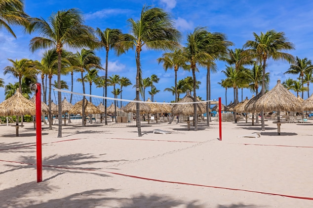 Sand volleyball court on beach with palm trees 