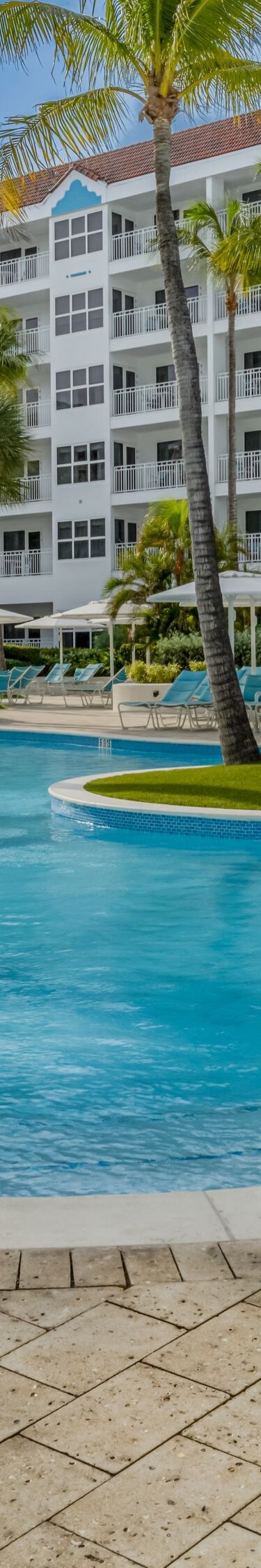 Zwembad met ligstoelen, parasols en palmbomen