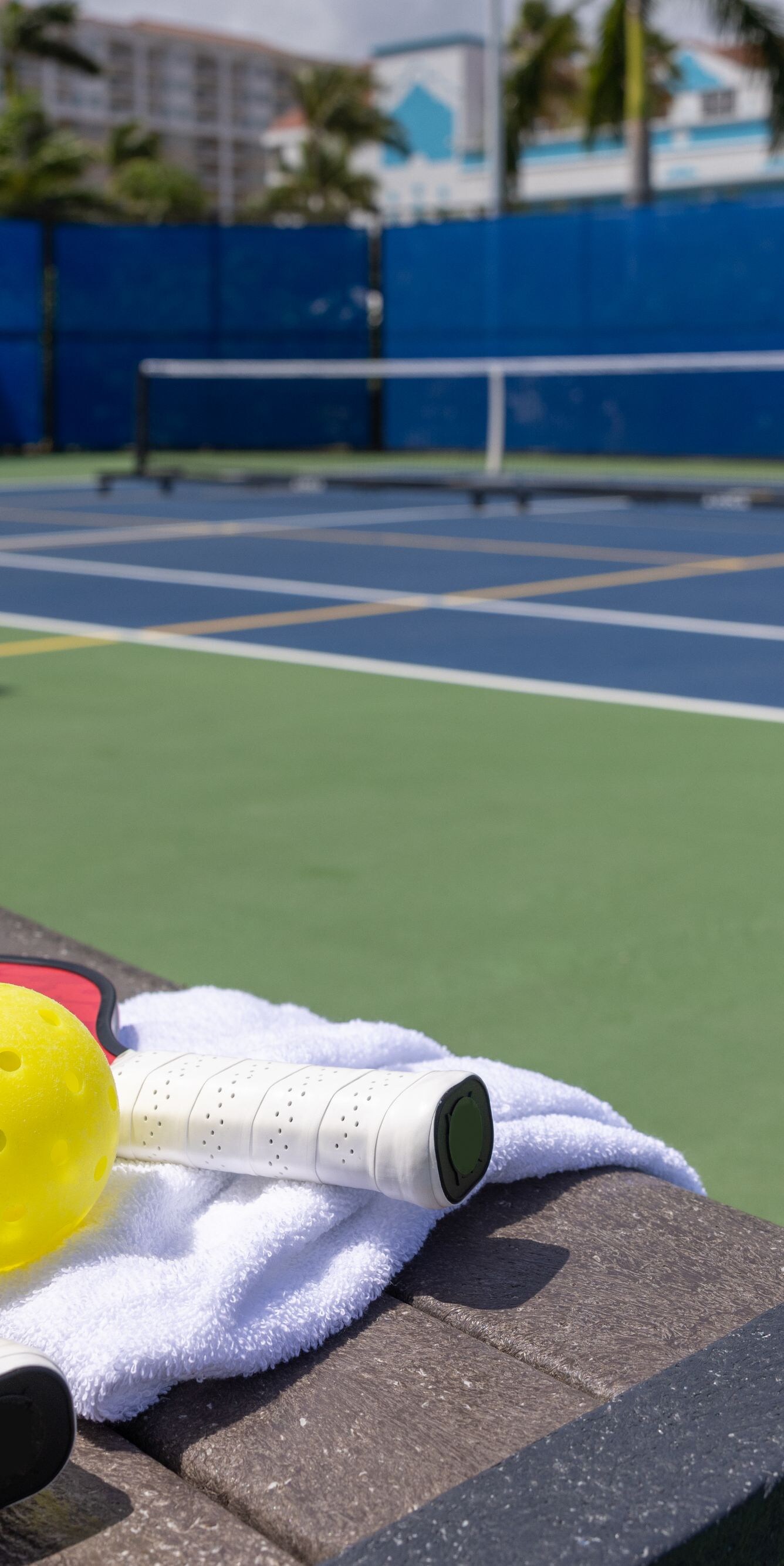 Pickleball-baan en alle benodigdheden