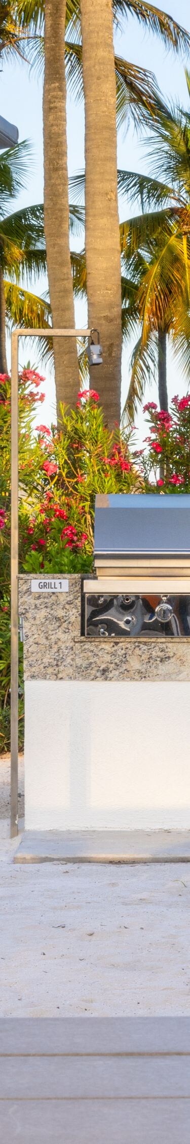 Grills, picknicktafels en palmbomen