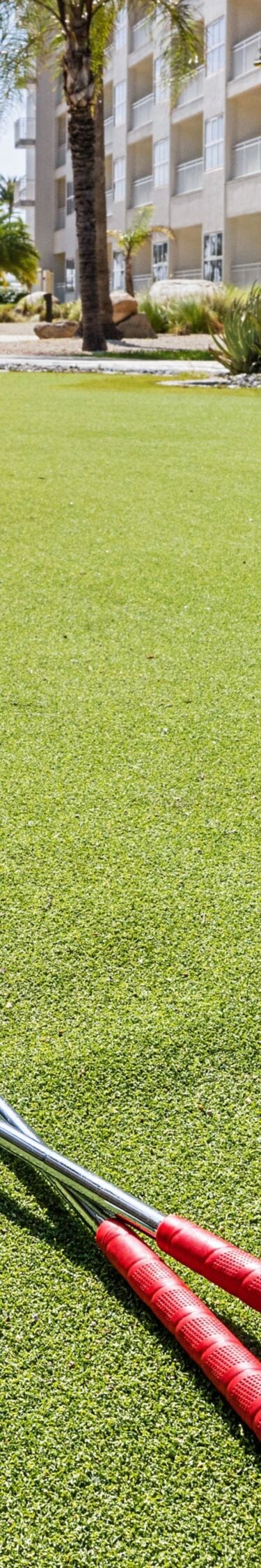 Putting green, golfclubs met palmbomen