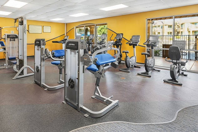 Gym with treadmills, bikes, weights 