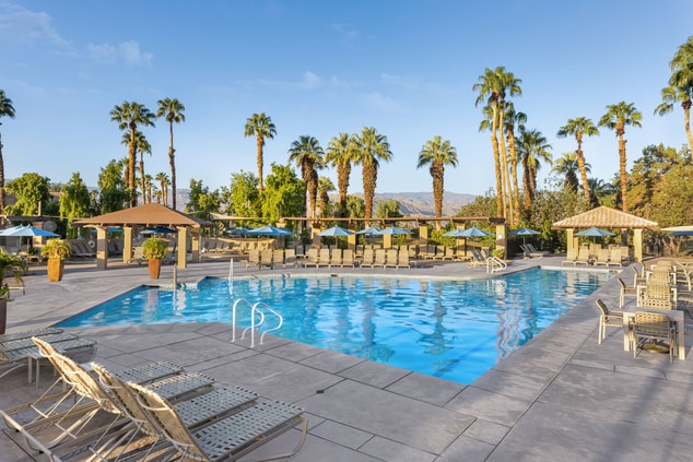 Lap pool with lounge chairs, umbrellas, palm trees