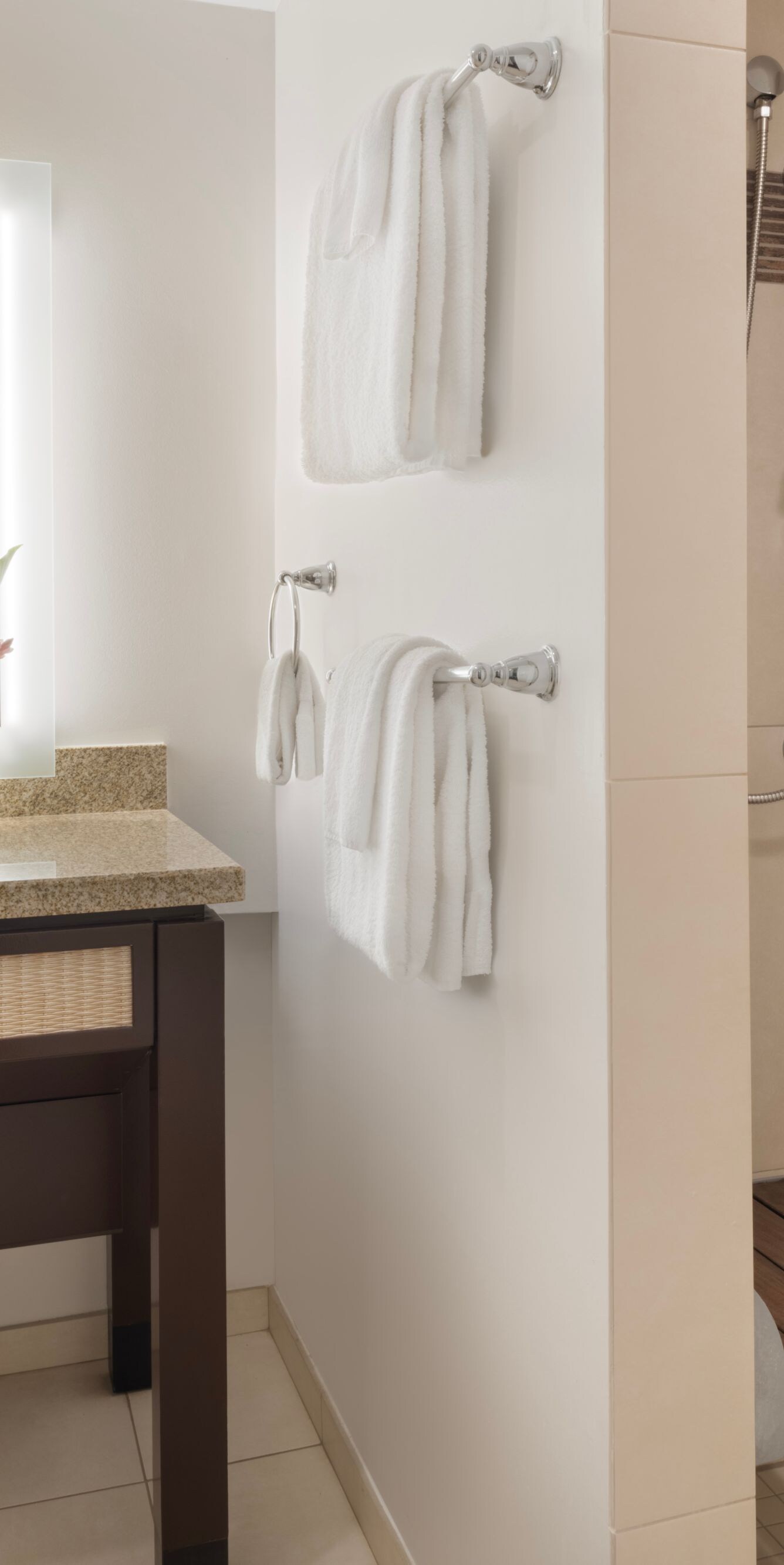 Accessible bath with roll-in shower