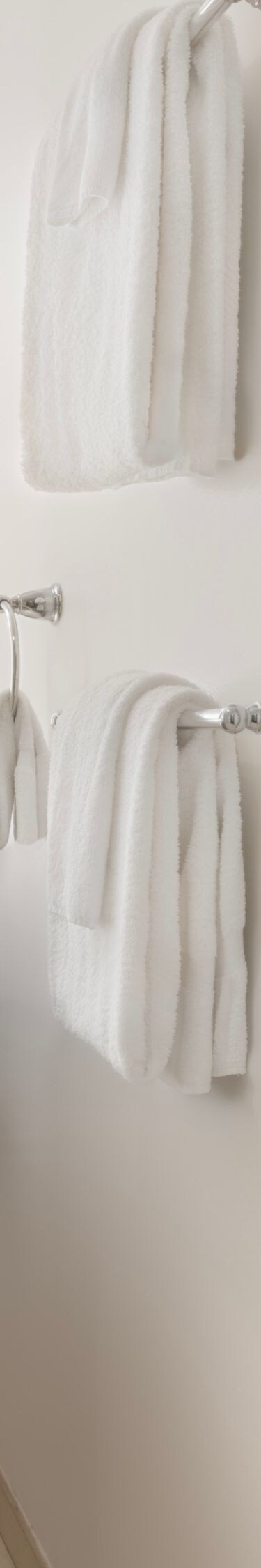 Accessible bath with roll-in shower