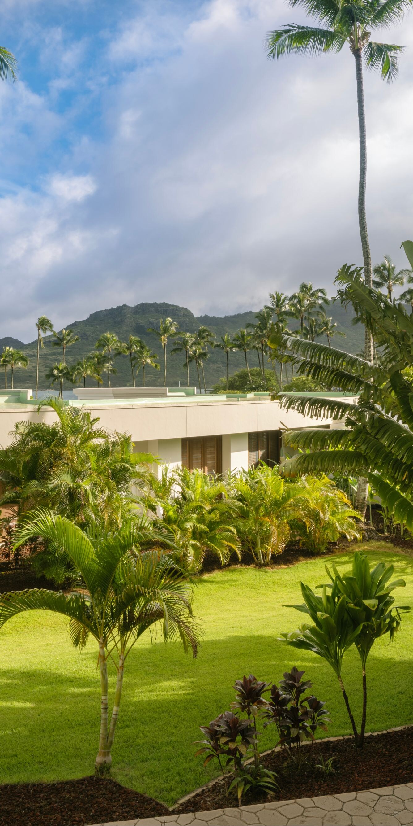 Lush foliage, palms trees and resort exterior