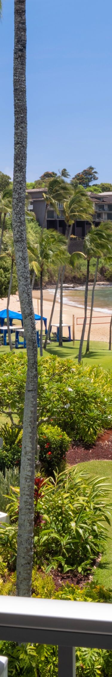 Beachfront balcony with view of pool and ocean