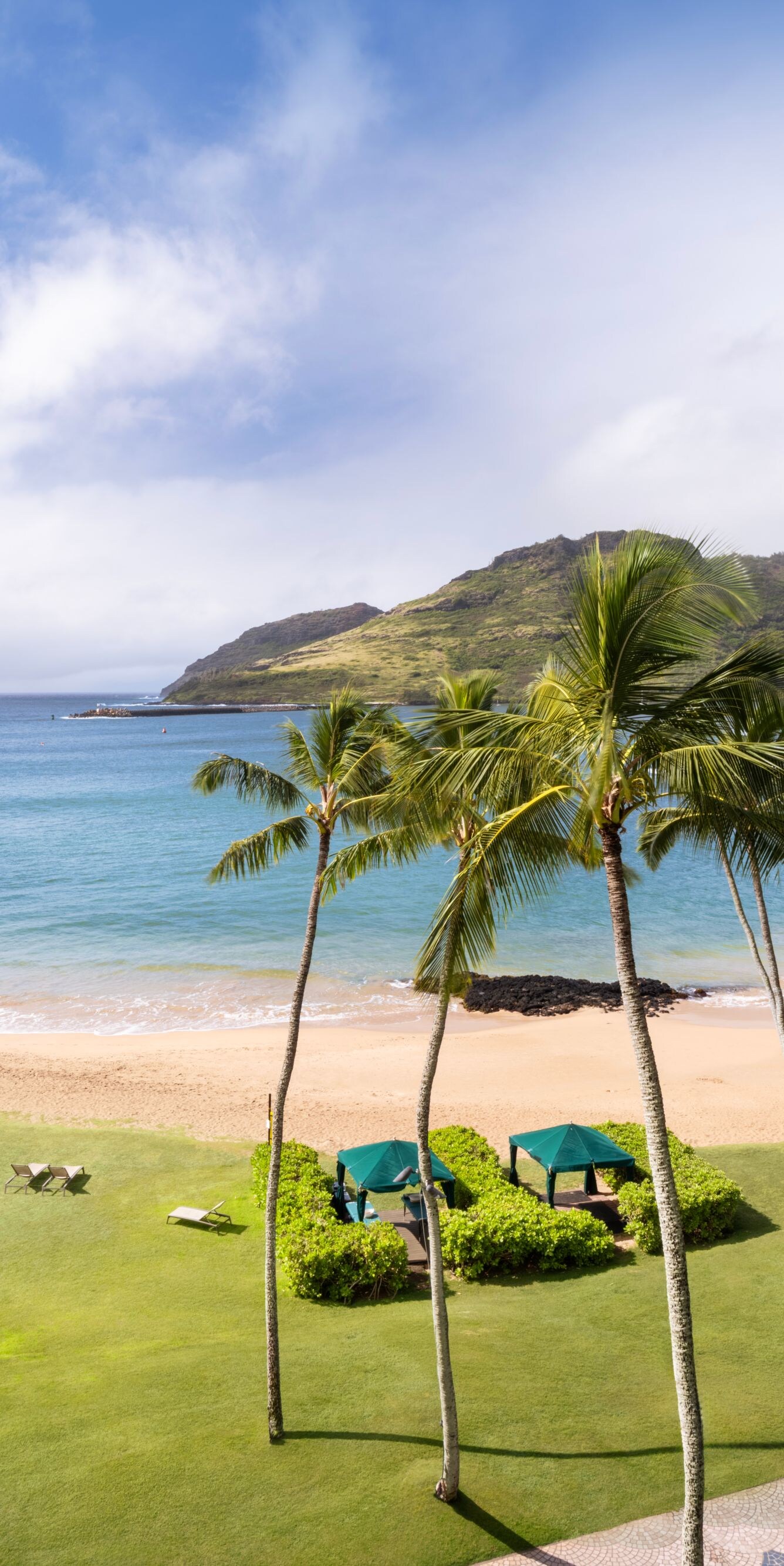 Palm trees and cabanas on beach