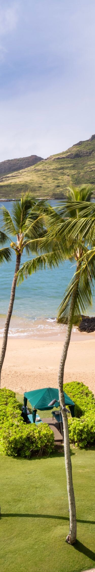 Palm trees and cabanas on beach