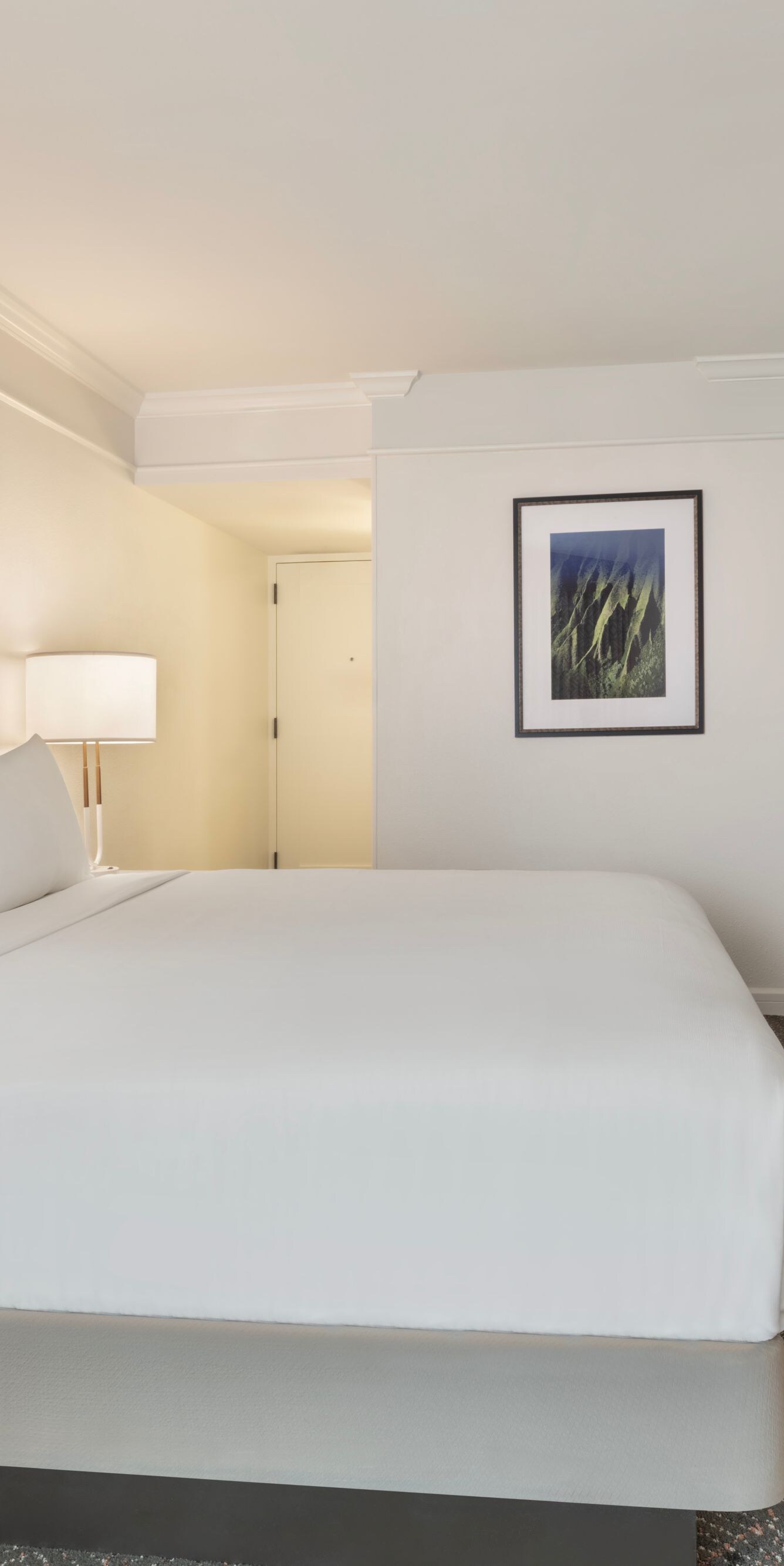 King bed with TV, mini-fridge, microwave