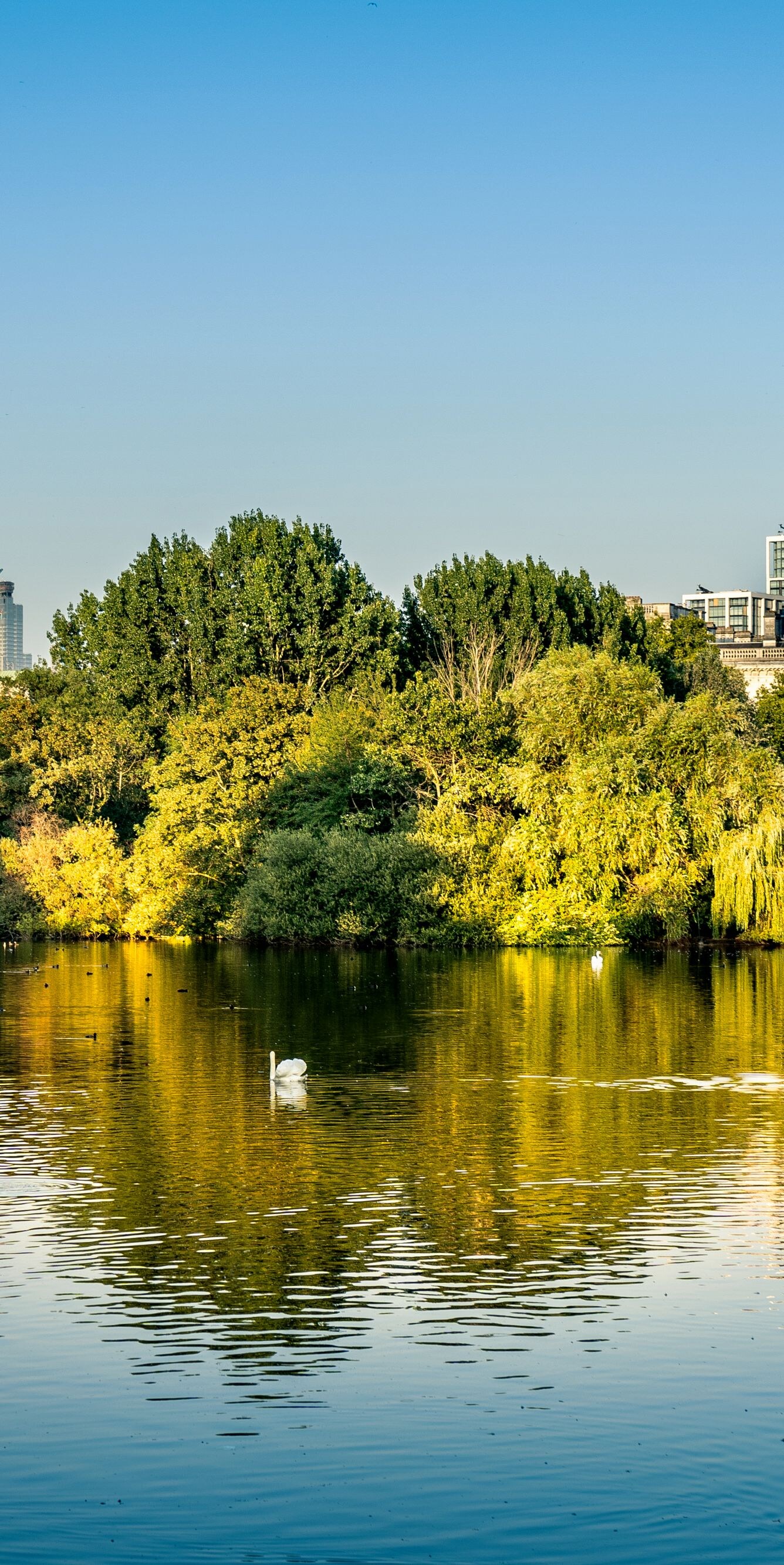 St. James Park with London Eye and skyline