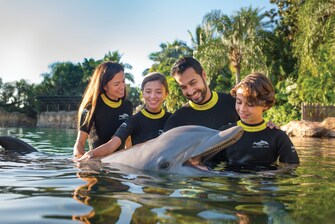 Family in water with dolphin
