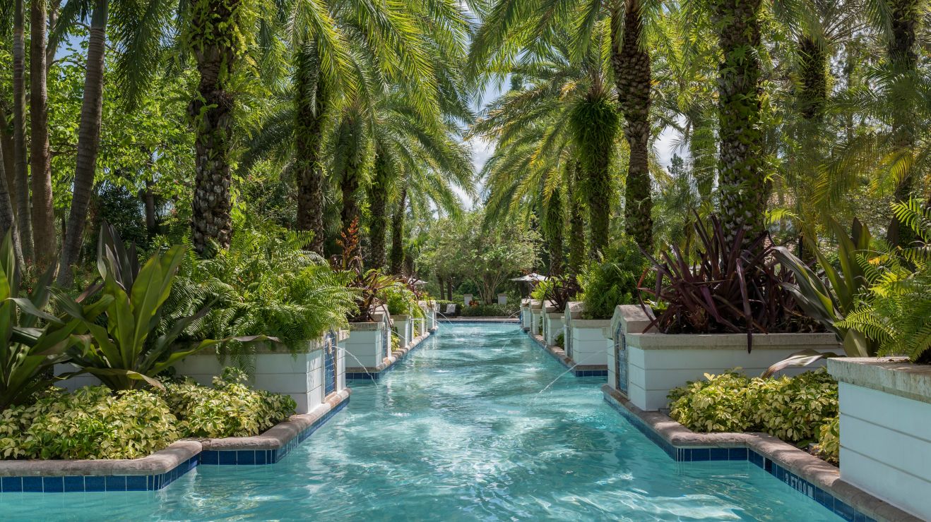 Swimmingpool mit Palmen