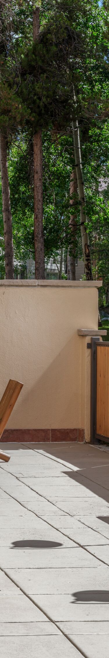 Outdoor grills, fireplace, picnic tables on patio