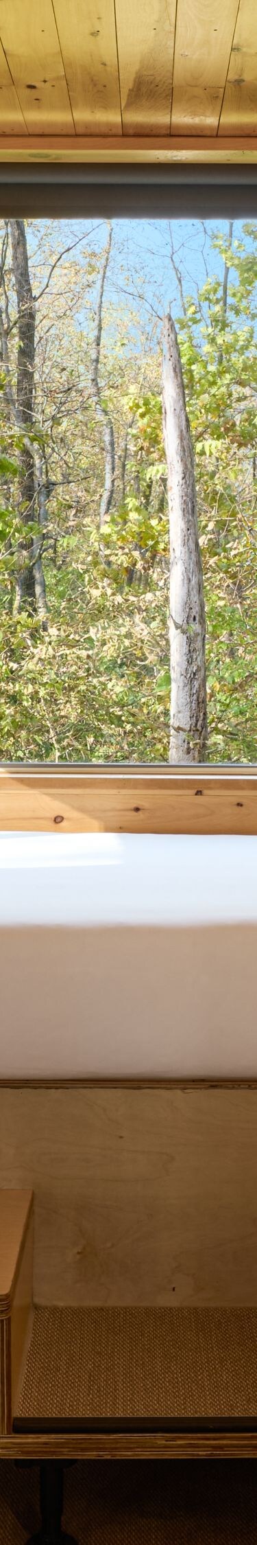Cabin with kitchenette, dining table, bed, window