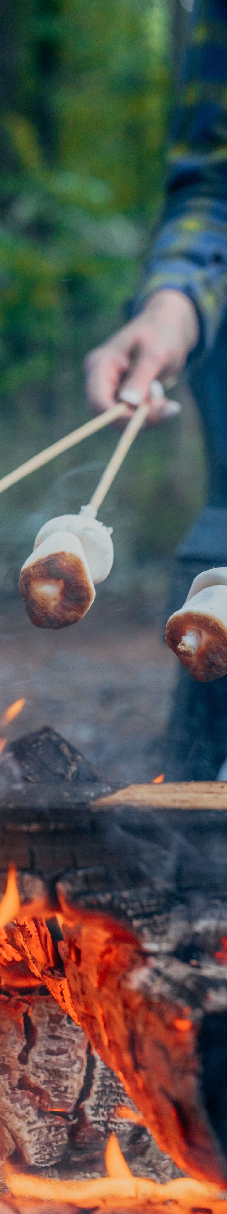 Roasting s'mores over fire pit