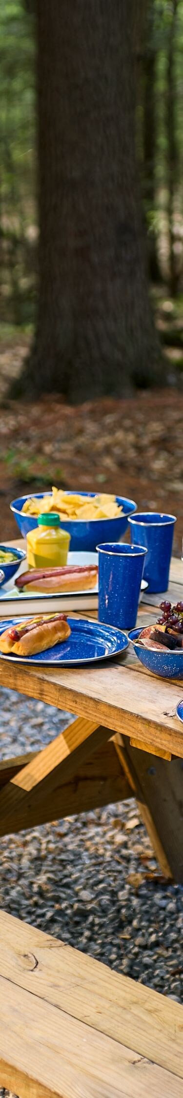 Picnic Table and Fire Pit with Adirondack Chairs