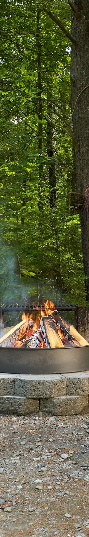 Firepit and Adirondack Chairs in Woods