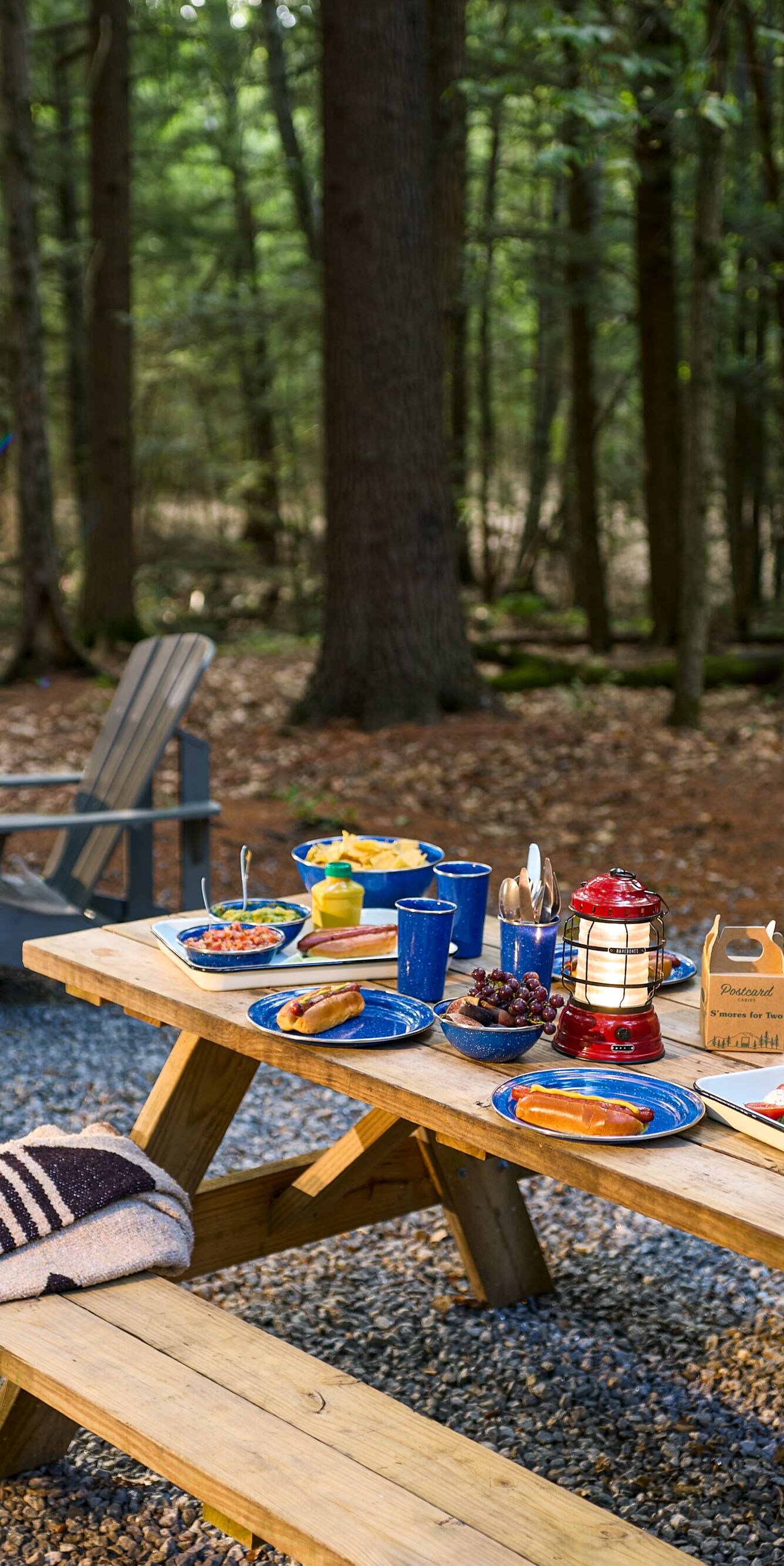 Picnic Table and Fire Pit with Adirondack Chairs