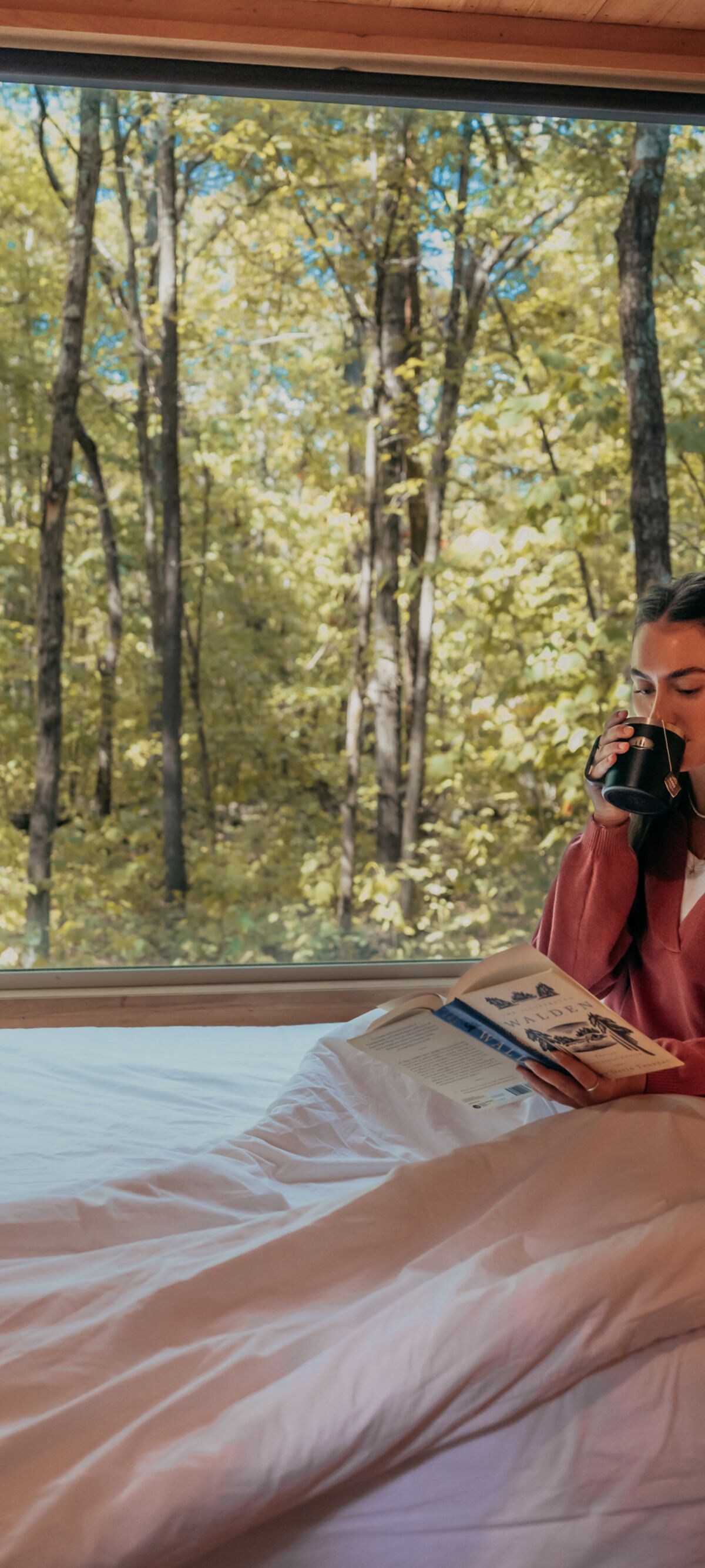 Woman reading book in bed in front of window