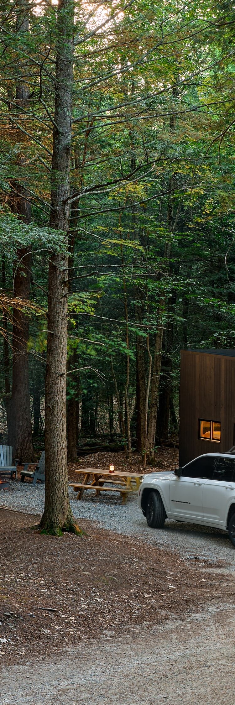 Photo Gallery | Postcard Cabins Big Bear, Outdoor Collection