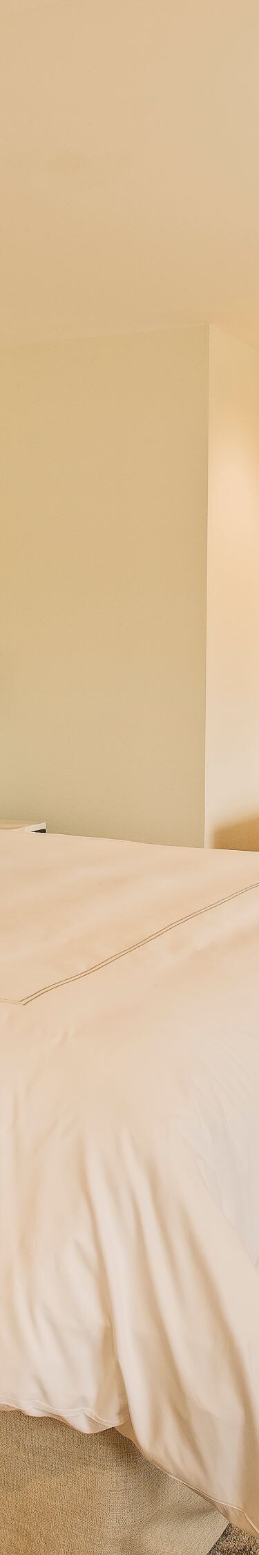 King Guest Room