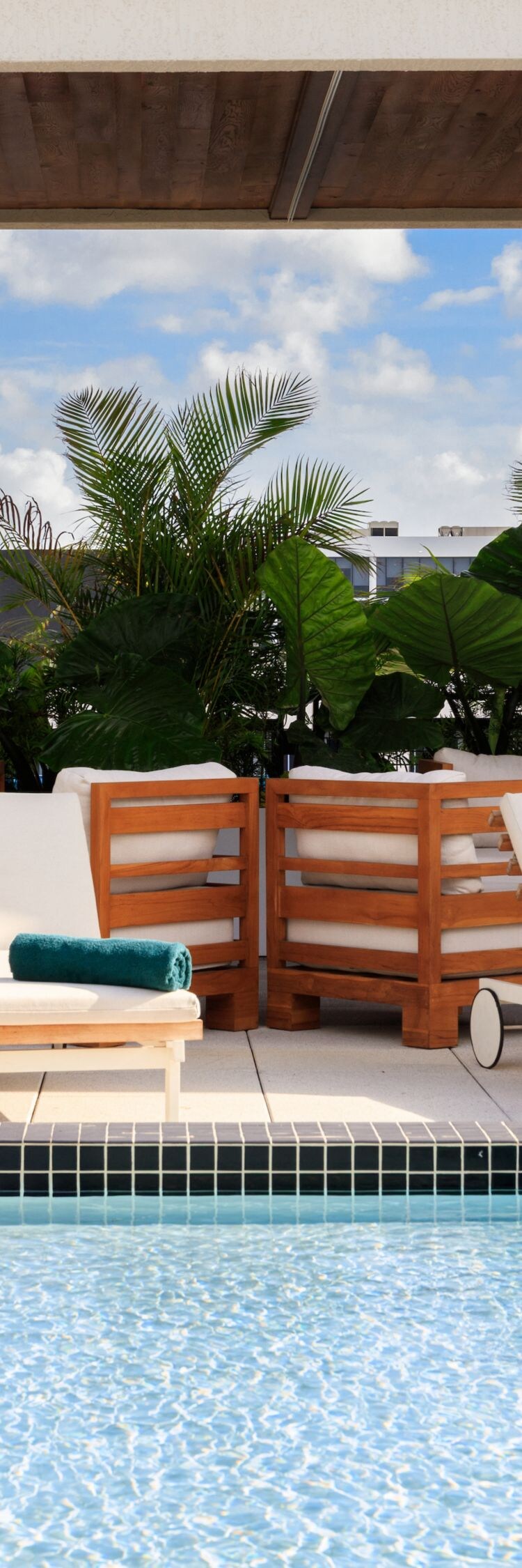 rooftop pool with sun loungers and skyline views